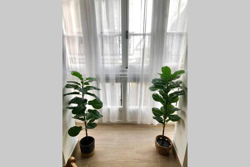Gatu Premium Villa Libertad, Preferente Mayores De 25 Anos Y Familias カディス エクステリア 写真