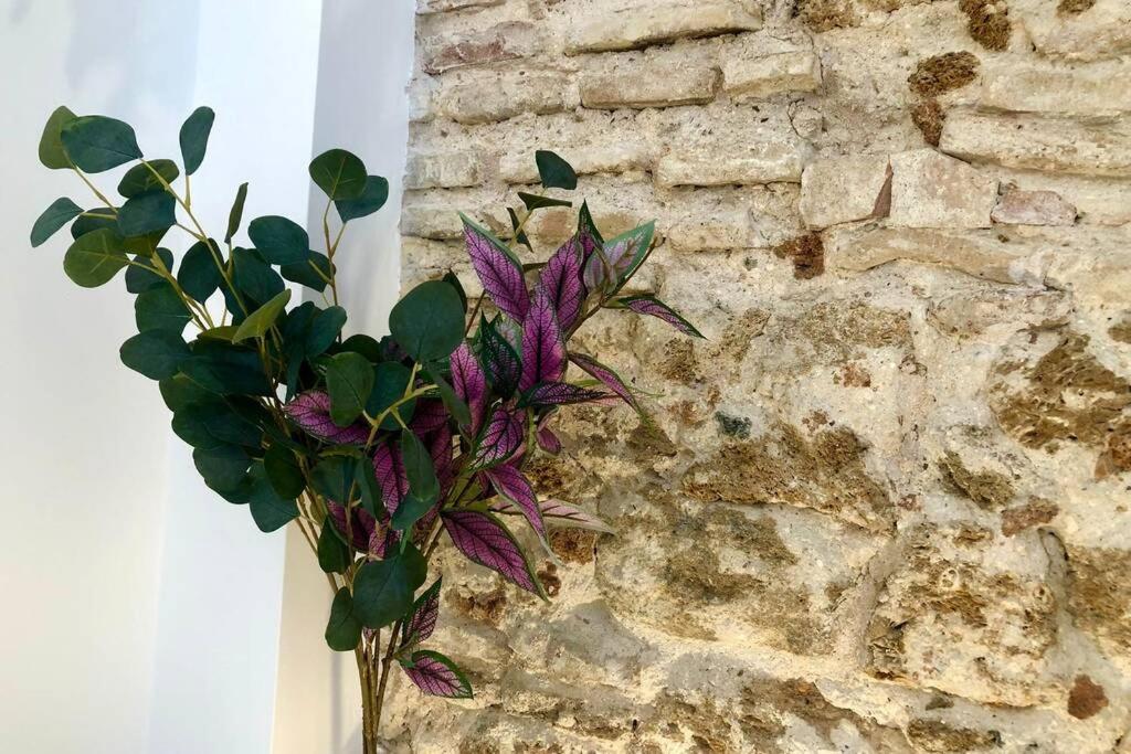 Gatu Premium Villa Libertad, Preferente Mayores De 25 Anos Y Familias カディス エクステリア 写真