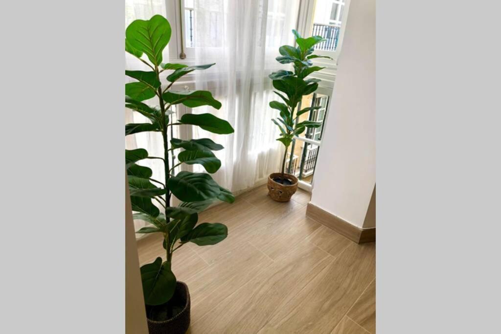 Gatu Premium Villa Libertad, Preferente Mayores De 25 Anos Y Familias カディス エクステリア 写真