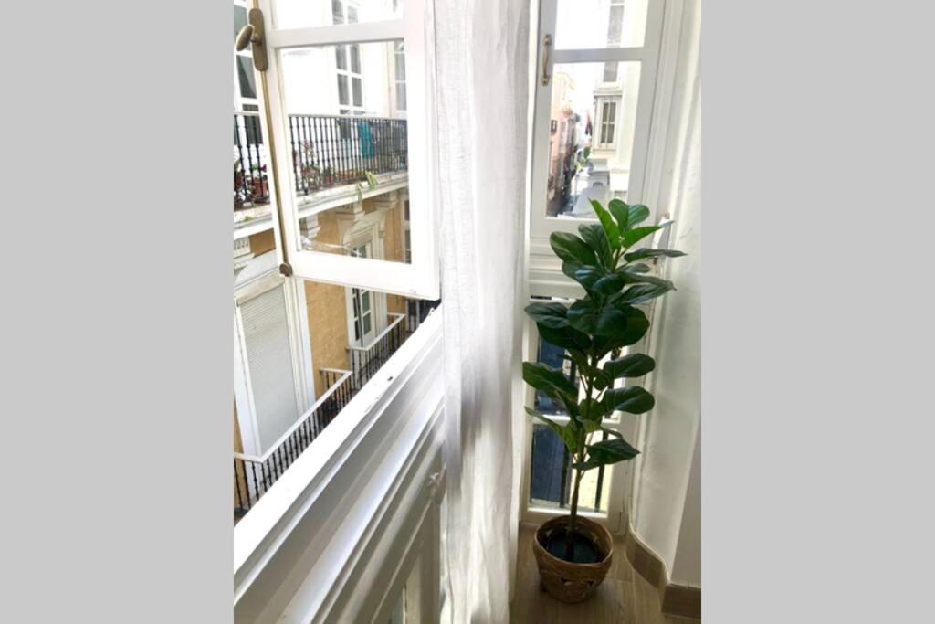 Gatu Premium Villa Libertad, Preferente Mayores De 25 Anos Y Familias カディス エクステリア 写真